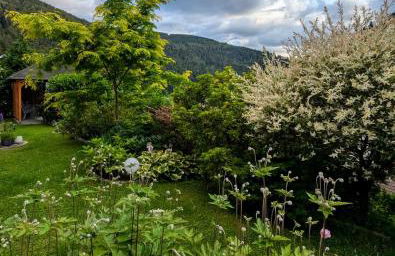 Haus zur Eule - Foto 25