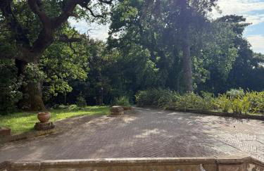 Al Castello da Nancy - 15 min from Positano - Foto 2