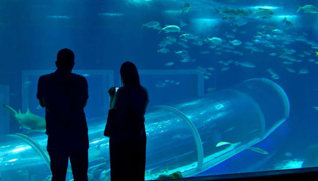 Pareja en el acuario AquaRio