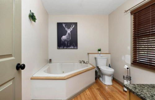 5B Blue Ridge Grandeur-VMI, VA Horse Center, WLU - Foto 35