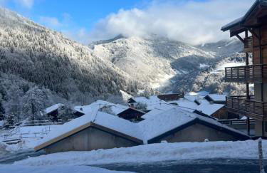 Snow Roc Mountain View - Photo 32