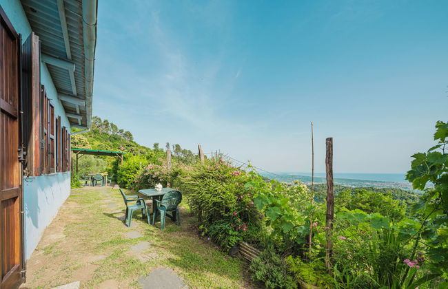 Margherita - Foto 23