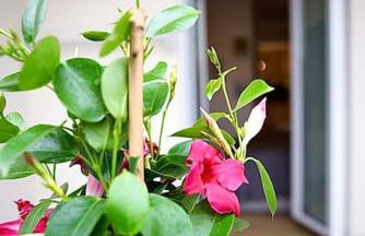 A casa di Sara - Foto 31