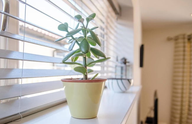 Haven House, Aldeburgh - Foto 32