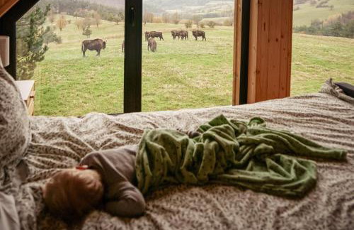 Chaty w chmurach - Foto 15