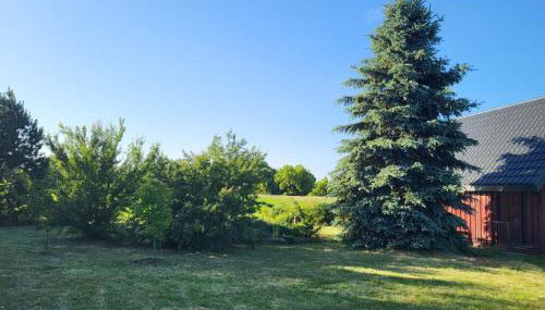 Domek nad Wkrą, okolice Sochocina, kajaki - Foto 2