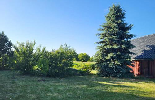 Domek nad Wkrą, okolice Sochocina, kajaki - Foto 2