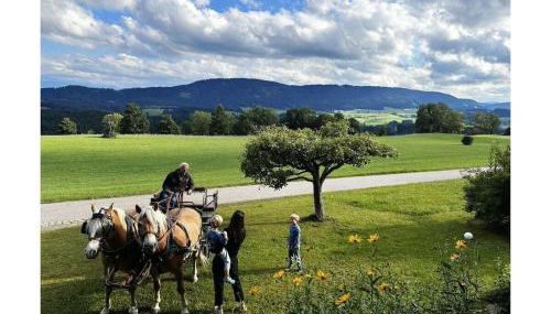 Holiday home in Weitnau with swimming pool - Foto 5, Other