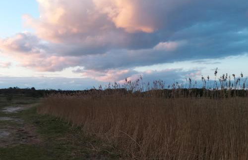 Seevilla Wietjes Whg 4 - Foto 13