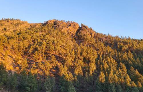 Casa Rural LOS PINARES El Juncal de TEJEDA - Foto 27