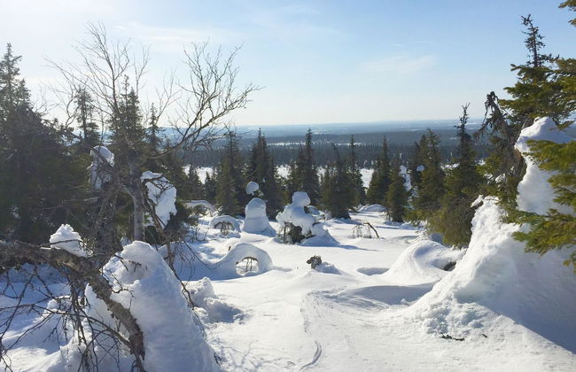 Sallanhelmi a2 - Foto 3