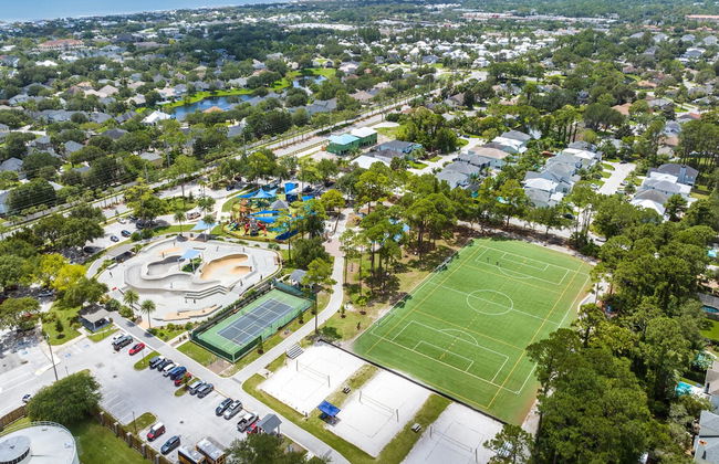 Paradise Palm - Foto 41