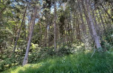 Chalet dans la verdure - Les Chapeliers - Foto 10