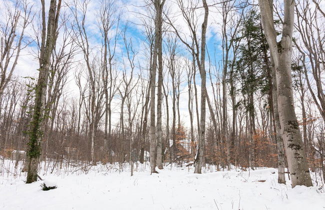 Sugarloaf Chalet 3BDR Loft 2510 - Foto 38