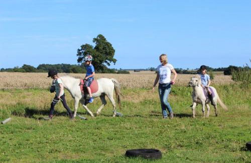 Scheideheck - Foto 9