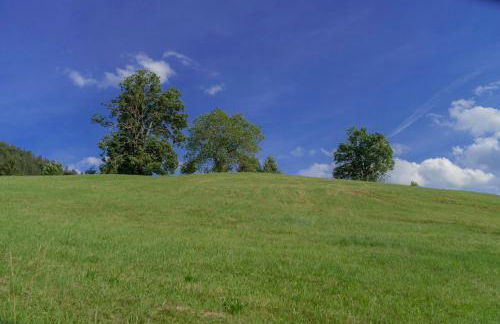 Ferienwohnung Heinrich - Foto 21