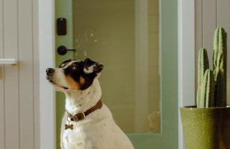 Modern Cayucos Bungalow - Ocean Views and Hot Tub - Foto 44