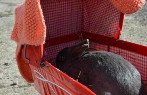 Ausserwegerhof - Photo 28