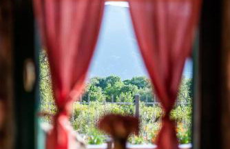 Villa Danica - Foto 11