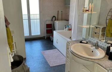 Grand F2 Perret de 60 m2, traversant lumineux, Plein Centre, 36 rue de Paris, vue Catène, arrivée autonome - Foto 6