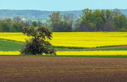 Cztery Luksusowe Domy na Mazurach, jezioro Juksty - SAKURAREST - Foto 2
