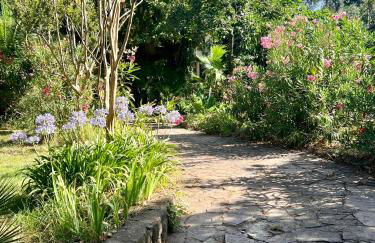 Le repaire magique - Foto 18