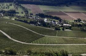 Bottwartal Apartment mit eigenem Eingang, top ruhige Lage, gemütliches Häusle für sich alleine - Foto 26