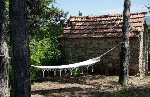 Apartment Tanja - Foto 2