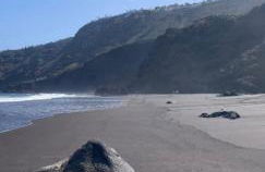 Ático Mirador de Humboldt - Foto 33