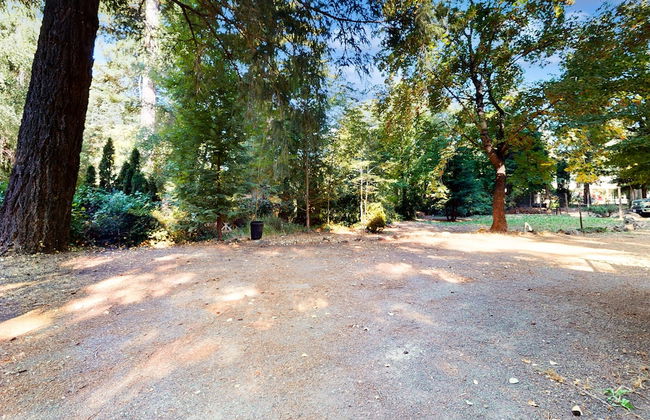 Rouge Cobb Mountain Cabins - Photo 48