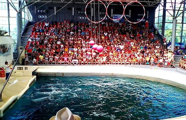 Cherry Tree Cottage - Foto 44