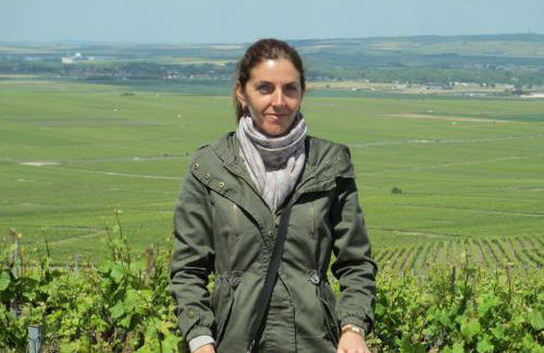 Gîtes Les Colombages - Foto 72