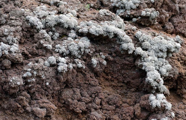 Mt. Vesuvius Hike - Photo 2