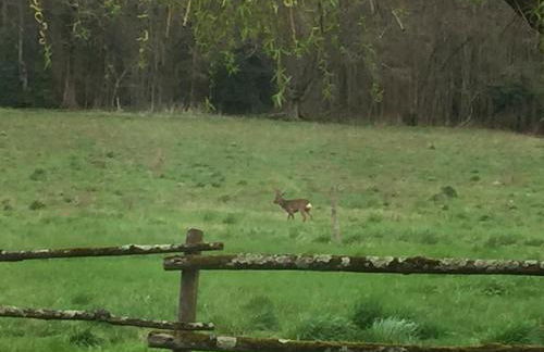 Gîte "Rêves de Gamins", proche du pôle Européen et du circuit des 24h - Foto 51