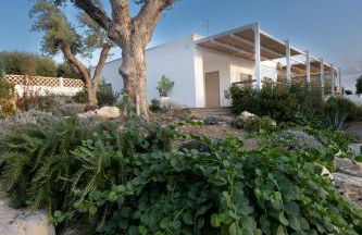 BAIA DELLE AGAVI - Foto 10