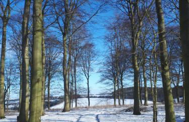 Greystones Lodge - Foto 41