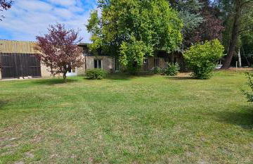 Le haras de gus et lulu - Foto 11