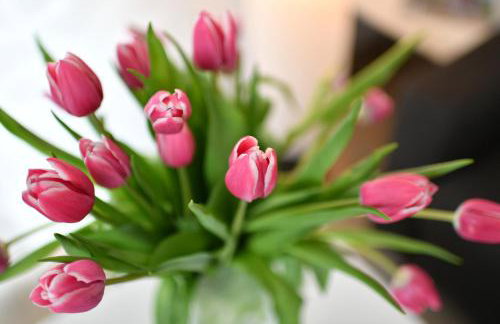 Dinkelbach Landhaus 1 A - Photo 22