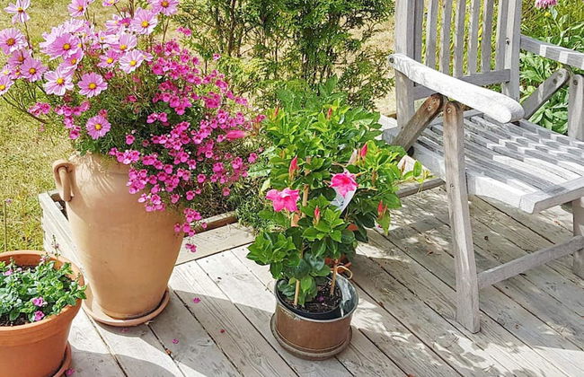 7 Person Holiday Home in Blido-by Traum - Photo 43