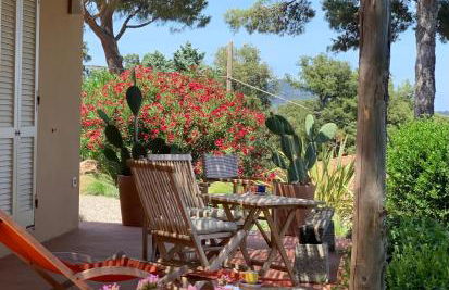 La Mandorla Salata - Foto 7