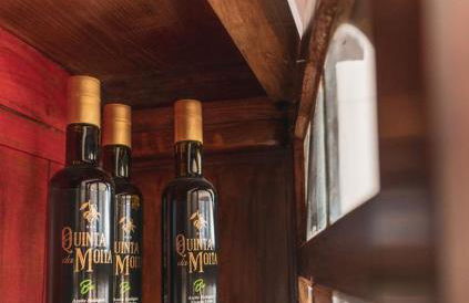 Quinta da Moita Agroturismo - Foto 107