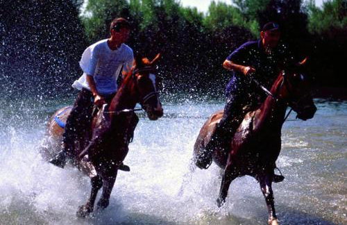 Isolated Villa Terna -Big Garden-Pool-Dalmatia - Foto 46