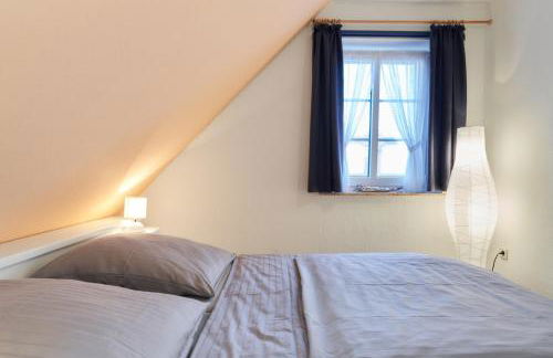 Muschelsucher 1 - Photo 17