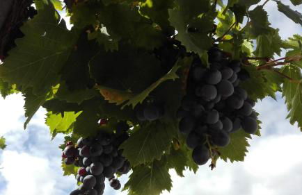 Casa Rural Cariño - Foto 31