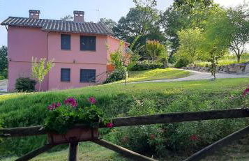 L'Albero degli Struzzi - Foto 1