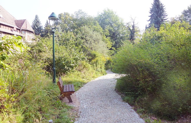 Villa-Hufeland - Foto 56