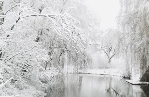 Landhaus am Schloss - Foto 60
