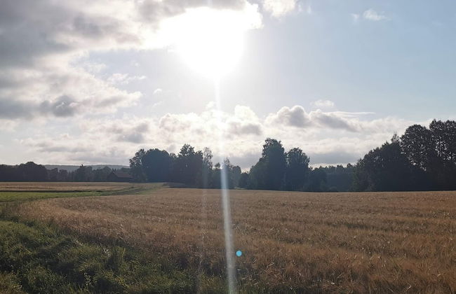 7 Person Holiday Home in Borlange-by Traum - Foto 12