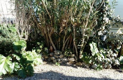 camping le pavillon - Foto 14