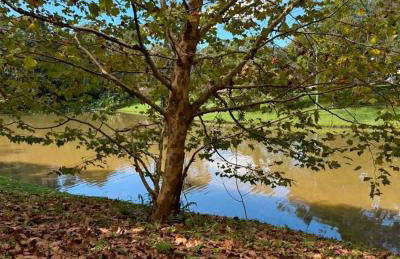 Ao lado da Superpao com vaga de garagem, Nova Friburgo RJ - Foto 16